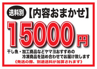 【送料別】ヤマヨ海宝ギフト15000