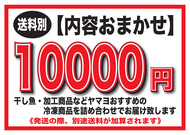【送料別】ヤマヨ海宝ギフト10000
