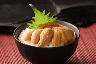 【6月15日以降順次発送】生うに(100g) 2パック《熊石海洋深層水使用》